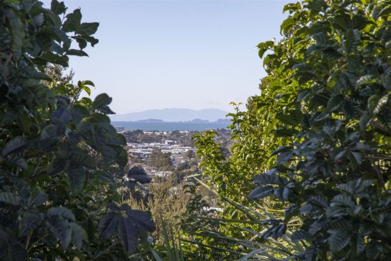 Photo of property in 317a Glenfield Road, Glenfield, Auckland, 0629