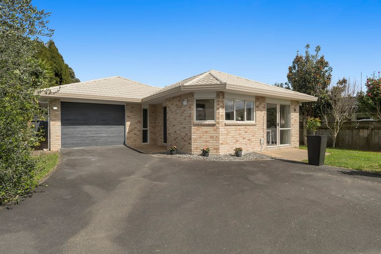 Photo of property in 180 Maungatapu Road, Maungatapu, Tauranga, 3112