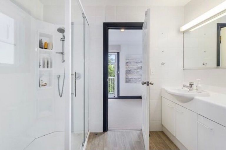 Photo of property in 11a Mount Street, Te Aro, Wellington, 6011