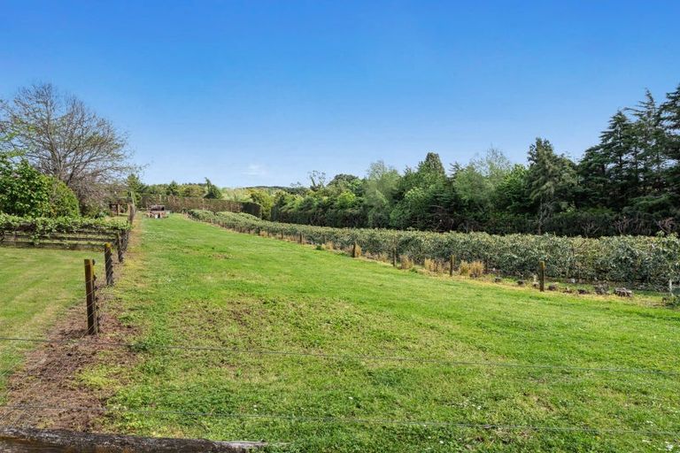 Photo of property in 124 Kauri Point Road, Tahawai, Katikati, 3170