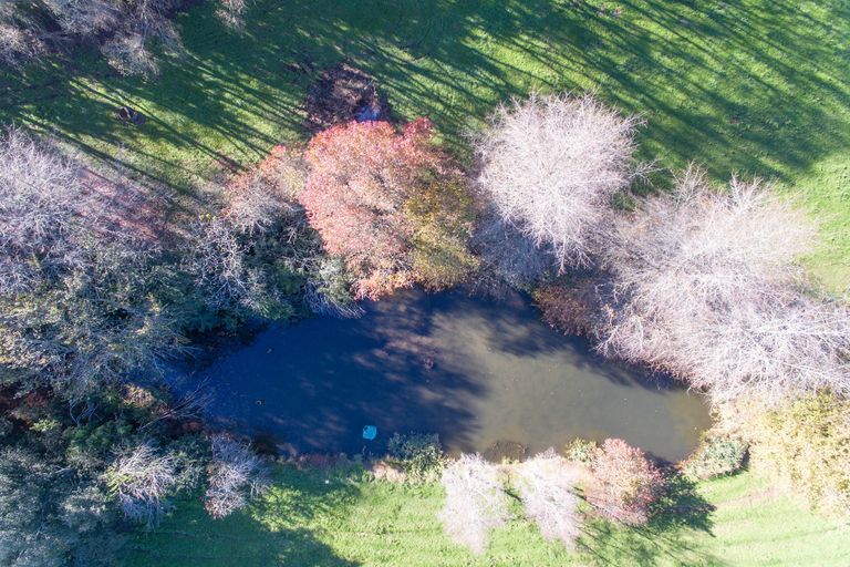 Photo of property in 11 Waiari Road, Pirongia, Te Awamutu, 3876