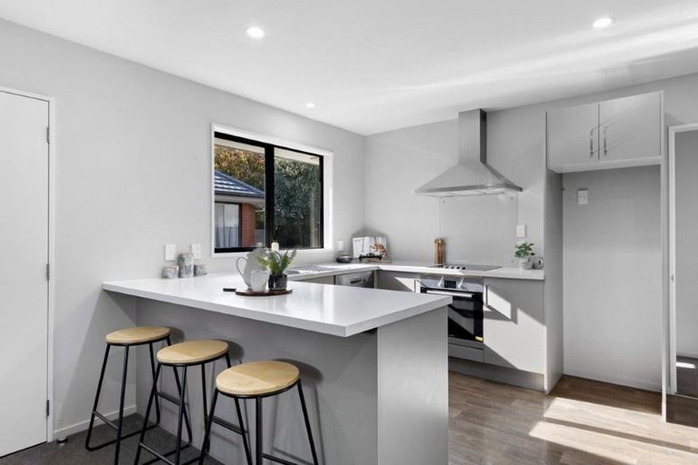 Photo of property in 31c Walpole Street, Waltham, Christchurch, 8023