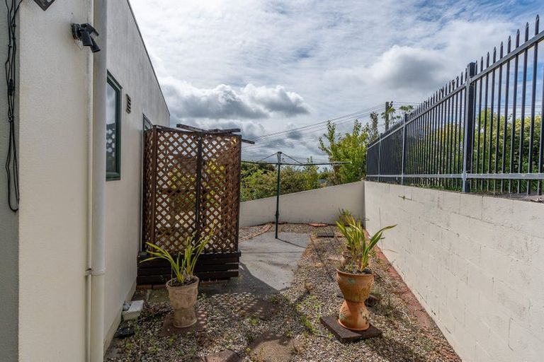 Photo of property in 45 Carey Street, Maeroa, Hamilton, 3200