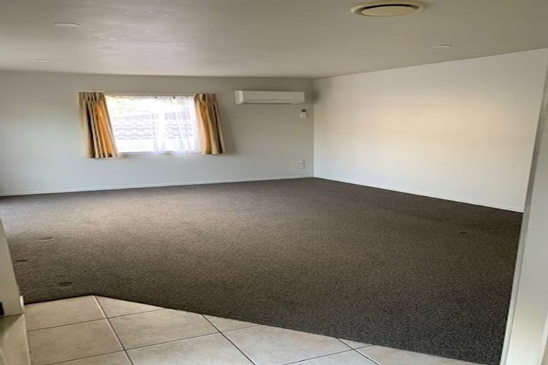 Photo of property in 17a Skinner Road, Mount Wellington, Auckland, 1060