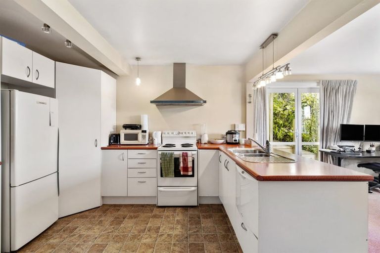 Photo of property in 55 Bedford Street, Northland, Wellington, 6012