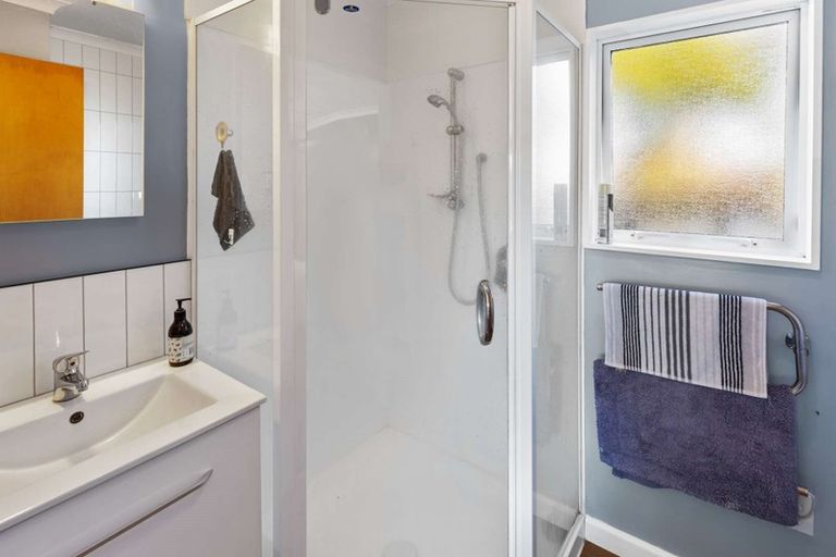 Photo of property in 50 Haydon Street, Roslyn, Palmerston North, 4414