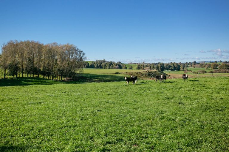 Photo of property in 11 Waiari Road, Pirongia, Te Awamutu, 3876