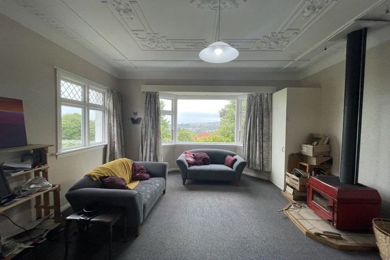 Photo of property in 104 Signal Hill Road, Opoho, Dunedin, 9010