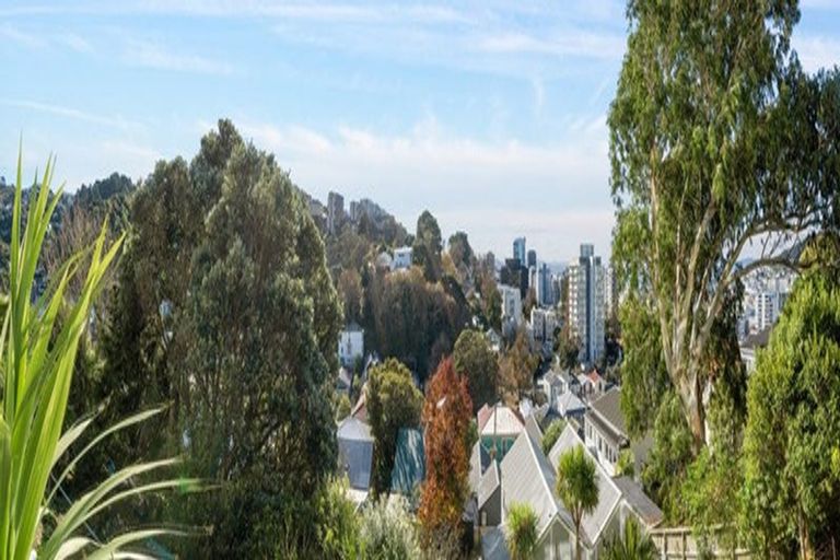 Photo of property in Fairmont Flats, 1c/20 Maarama Crescent, Aro Valley, Wellington, 6021