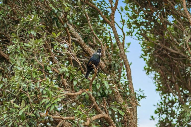 Photo of property in 38 Pacific Parade, Army Bay, Whangaparaoa, 0930