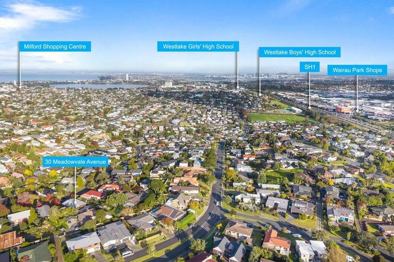 Photo of property in 30 Meadowvale Avenue, Forrest Hill, Auckland, 0620