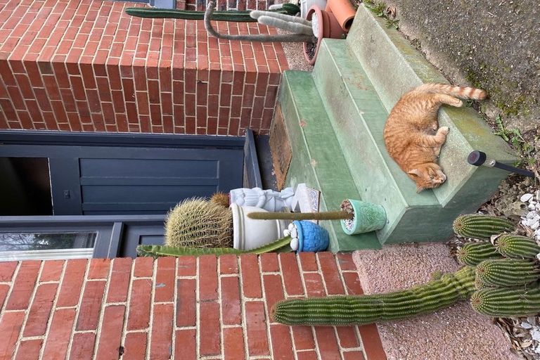 Photo of property in 38 Haywood Street, The Glen, Dunedin, 9011