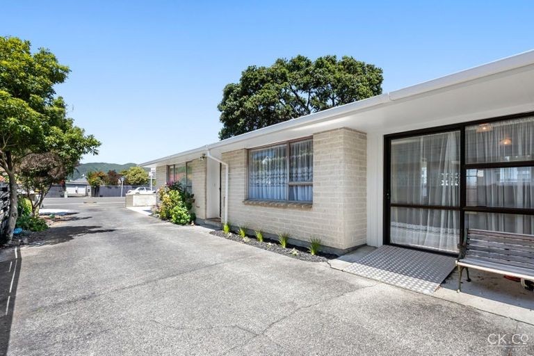 Photo of property in 19 Bloomfield Terrace, Hutt Central, Lower Hutt, 5010