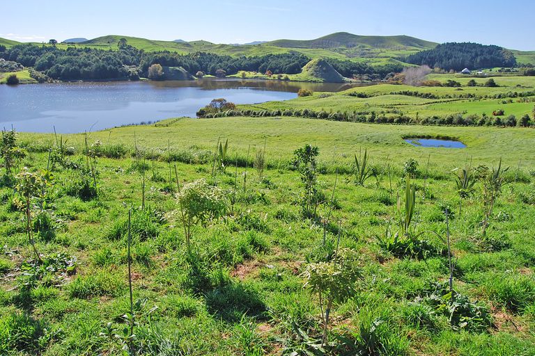 Photo of property in 96 Manu Drive, Kaiwaka, 0573