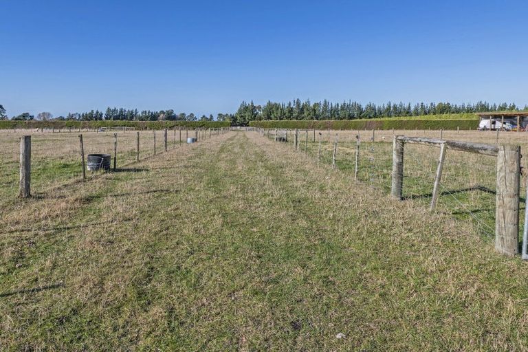 Photo of property in 854 Marshmans Road, Sefton, 7477