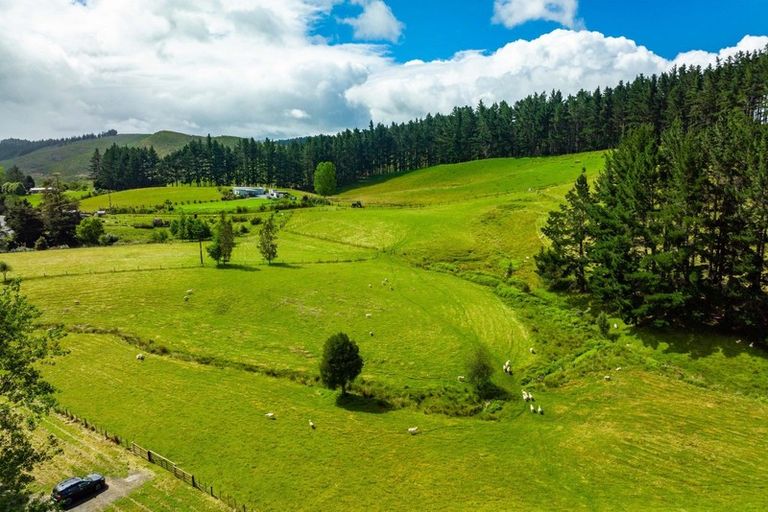 Photo of property in 1941 Tangowahine Valley Road, Tangowahine, Dargaville, 0372