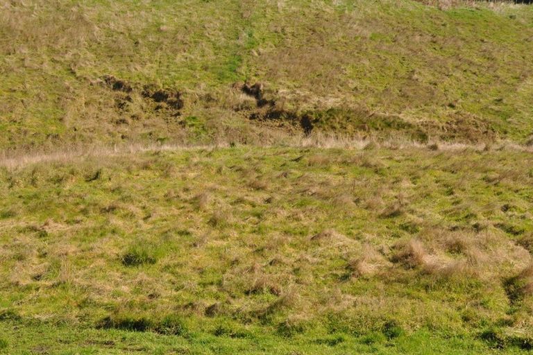 Photo of property in 42 Knorp Street, Halcombe, Feilding, 4779