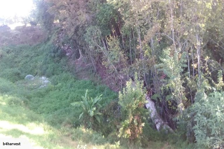 Photo of property in 16 Nelson Lane, Omokoroa, 3114