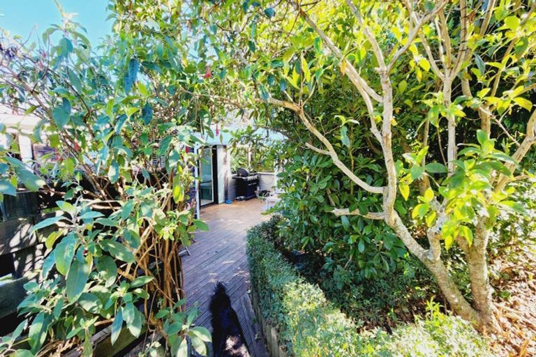 Photo of property in 1 Mohua Street, Waikanae, 5036