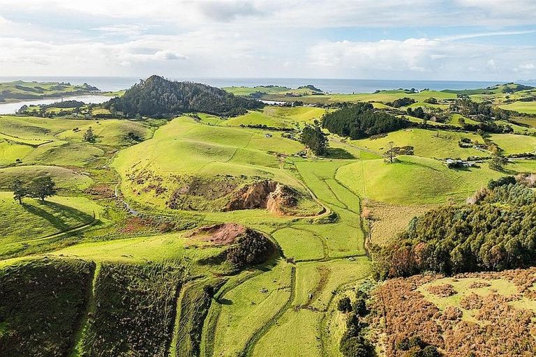 Photo of property in 533 Pataua South Road, Pataua South, Onerahi, 0192