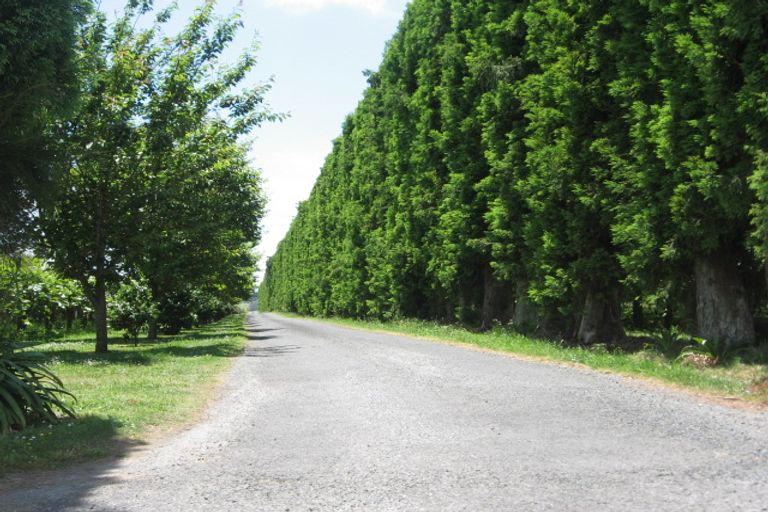 Photo of property in 115b Tuapiro Road, Tahawai, Katikati, 3170