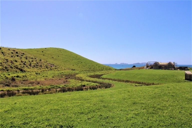 Photo of property in 16 Joyce Place, Opito Bay, Whitianga, 3592