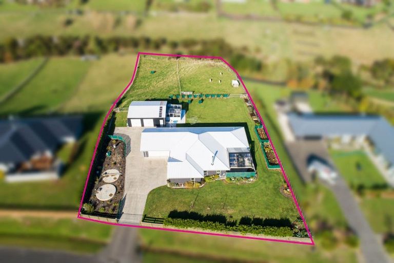 Photo of property in 31 Wapiti Avenue, Feilding, 4775