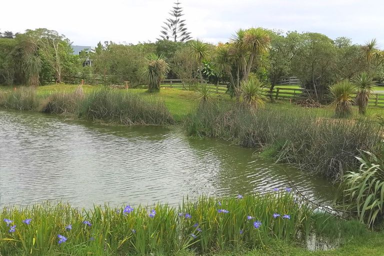 Photo of property in 106 Paetawa Road, Peka Peka, Waikanae, 5391