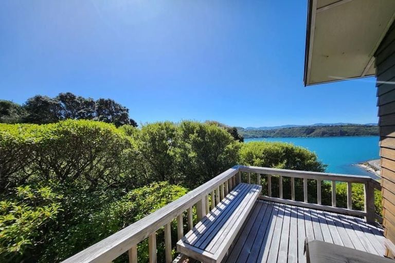 Photo of property in 5 Te Anau Avenue, Hataitai, Wellington, 6021