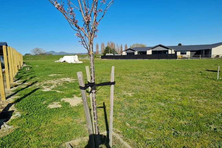 Photo of property in 8 Franks Place, Outram, 9019