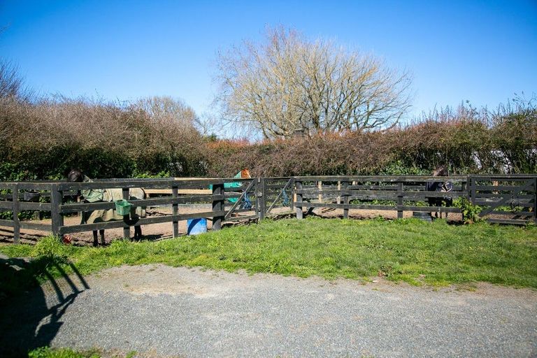 Photo of property in 49 Racecourse Road, Cambridge, 3493