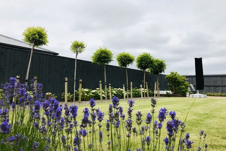 Photo of property in 39 Bradbury Avenue, Rolleston, 7614