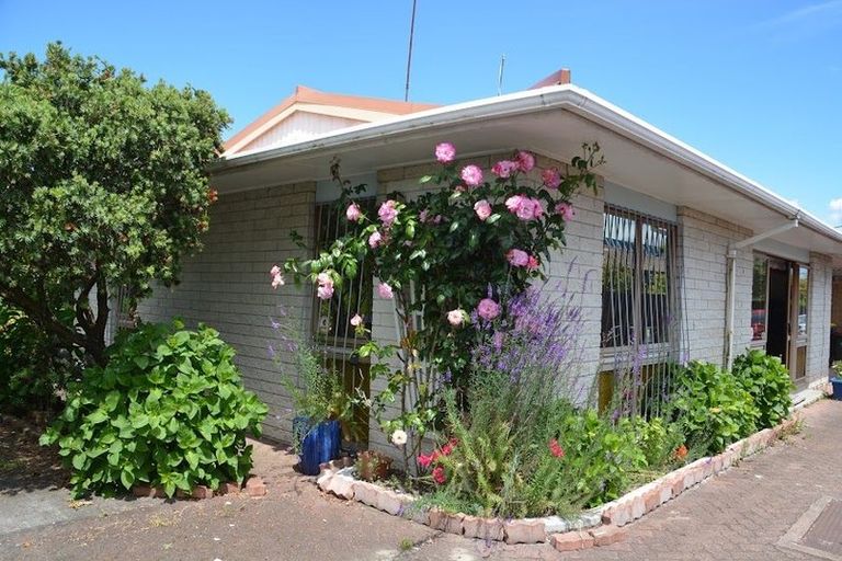 Photo of property in 63a Ranolf Street, Victoria, Rotorua, 3010