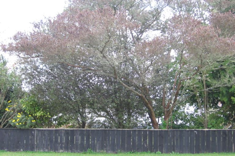 Photo of property in 4 Harris Street, Ngongotaha, Rotorua, 3010