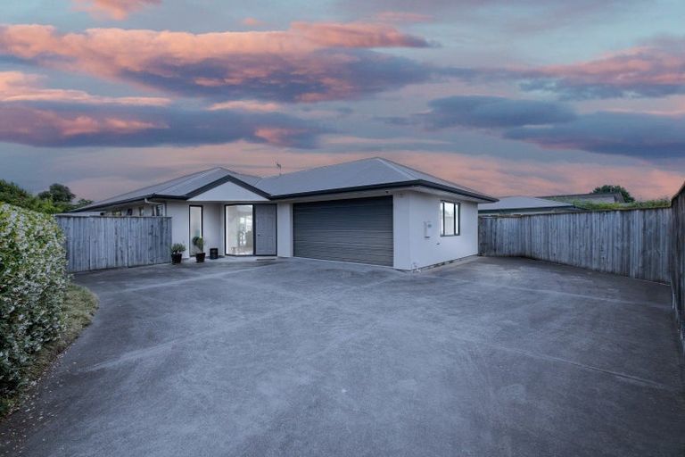 Photo of property in 801a Duke Street, Mahora, Hastings, 4120