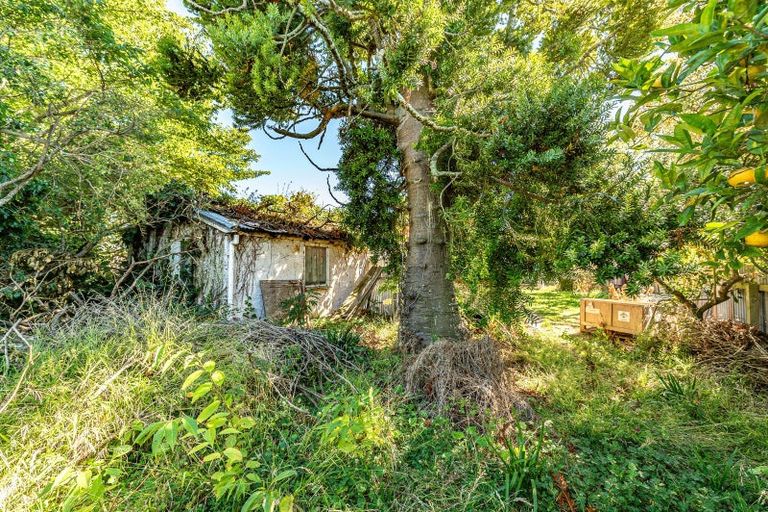 Photo of property in 131a Harrison Street, Whanganui, 4500