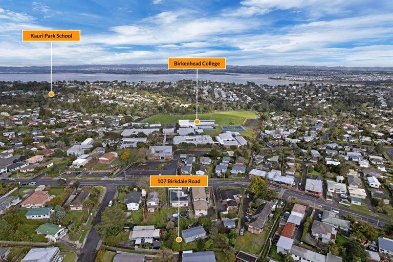 Photo of property in 107 Birkdale Road, Birkdale, Auckland, 0626