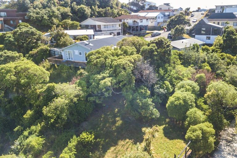 Photo of property in 13 Twomey Grove, Houghton Bay, Wellington, 6023