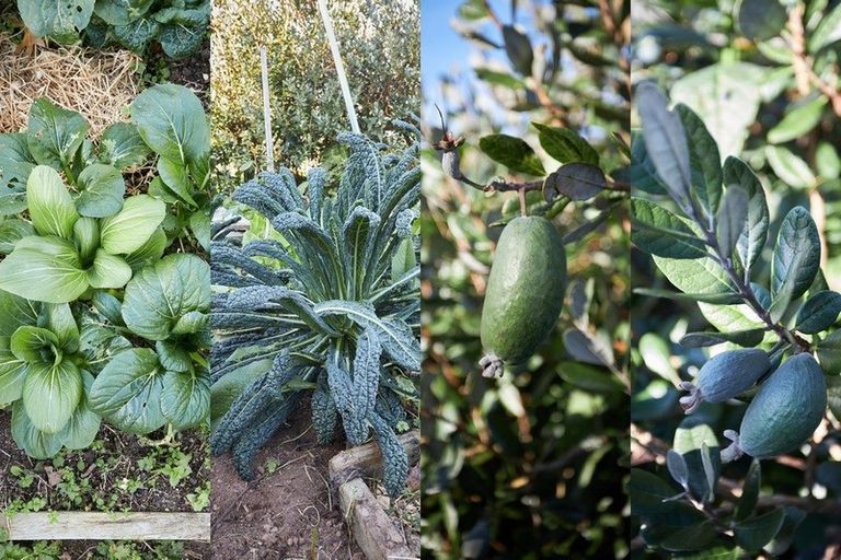 Photo of property in 1528a Pyes Pa Road, Oropi, Tauranga, 3173