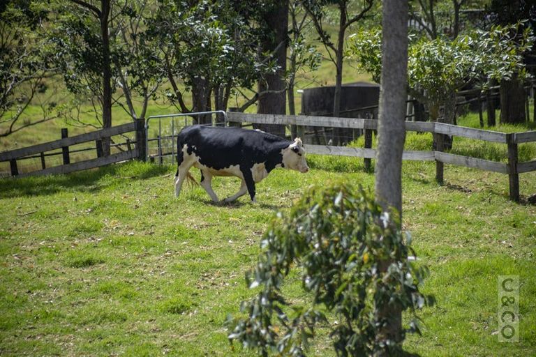 Photo of property in 589 Inland Road, Helensville, 0875