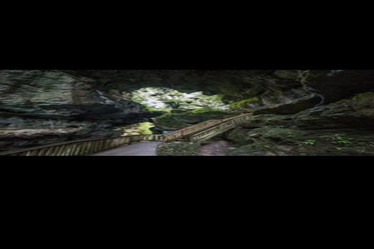 Photo of property in 5 Marokopa Road, Te Anga, Te Kuiti, 3988