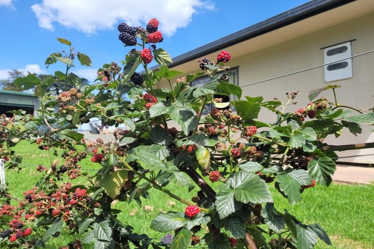 Photo of property in 647 Pipiwai Road, Matarau, Whangarei, 0176