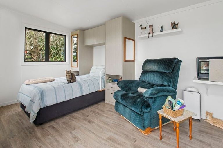 Photo of property in 31 Wildwood Lane, Matamata, 3472