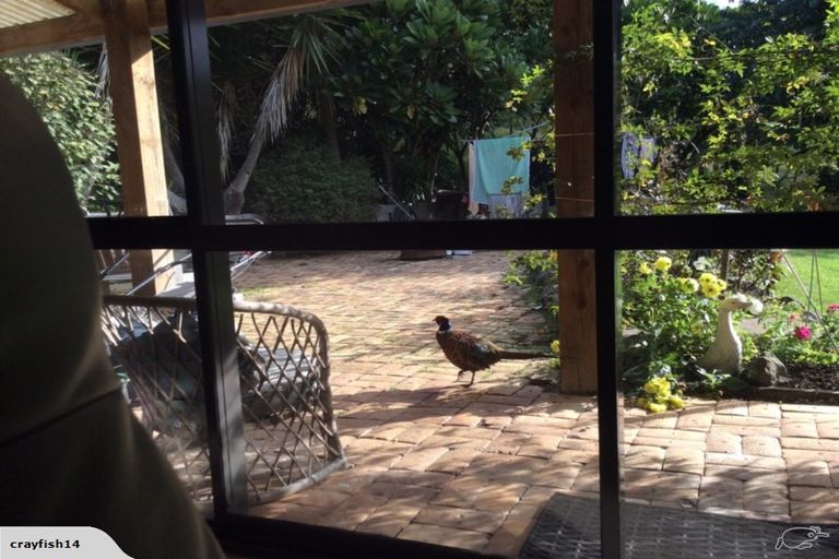 Photo of property in 543 Three Mile Bush Road, Te Kamo, Kamo, 0185