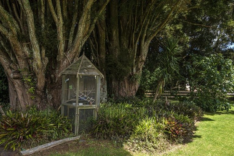 Photo of property in 13 Palm Grove, Te Kamo, Kamo, 0185