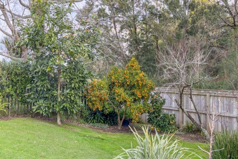 Photo of property in 16 Kennedy Street, Paeroa, 3600
