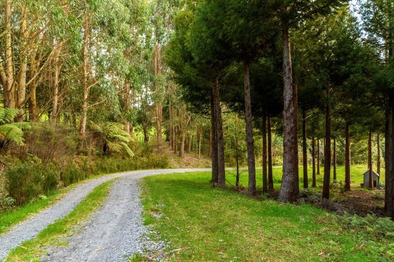 Photo of property in 771 Whakamarama Road, Whakamarama, Tauranga, 3179