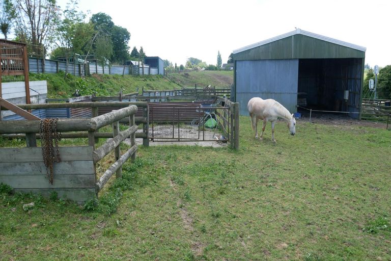 Photo of property in 33/35 Overdale Street, Putaruru, 3411