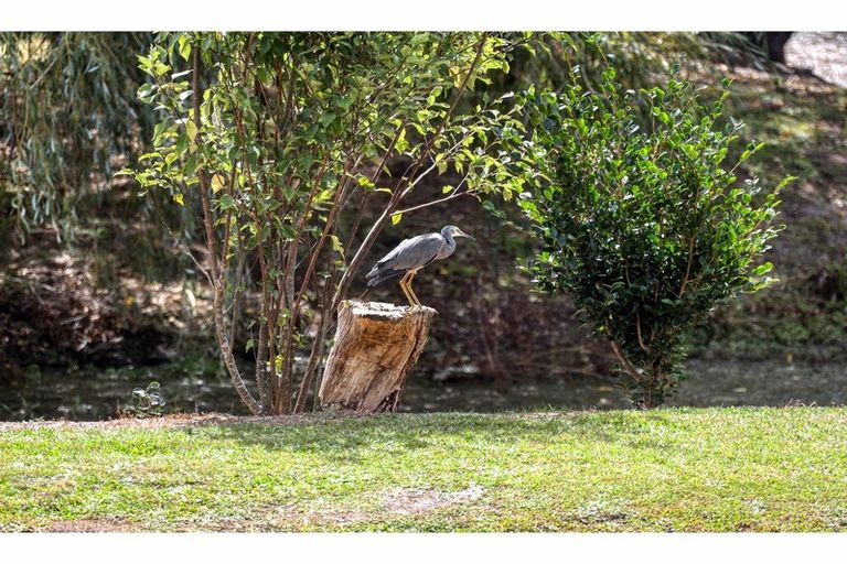 Photo of property in 752a Settlement Road, Hakaru, Wellsford, 0975