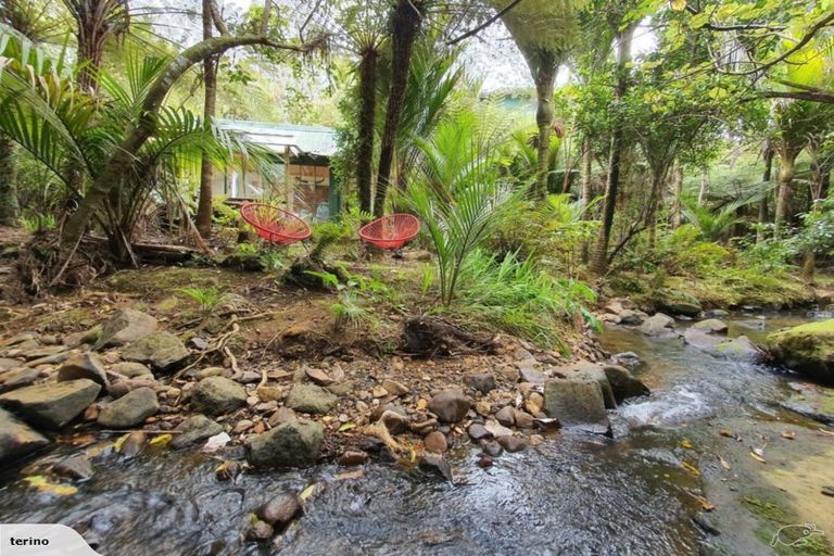 Photo of property in 50 Lone Kauri Road, Karekare, New Lynn, 0772